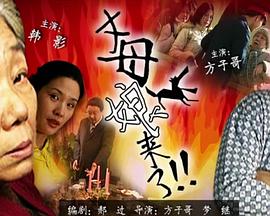 帕金顿夫人